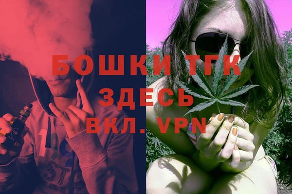 шишки Алексеевка